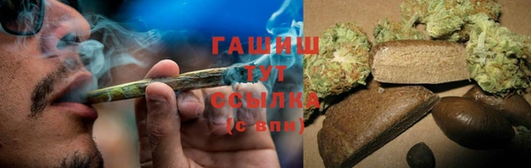 стафф Струнино