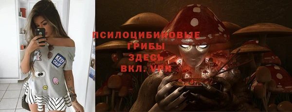 spice Ступино