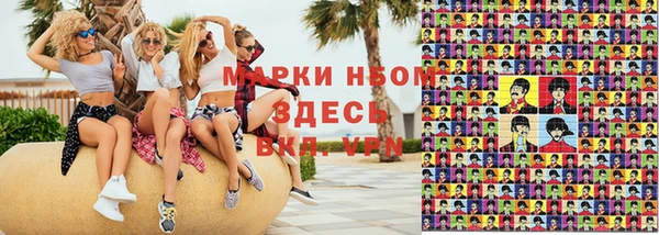 стафф Струнино