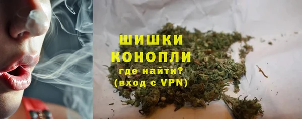 стафф Струнино