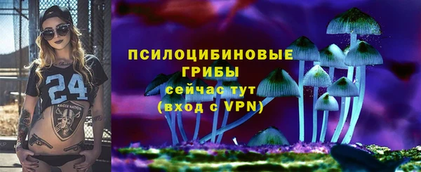 spice Ступино